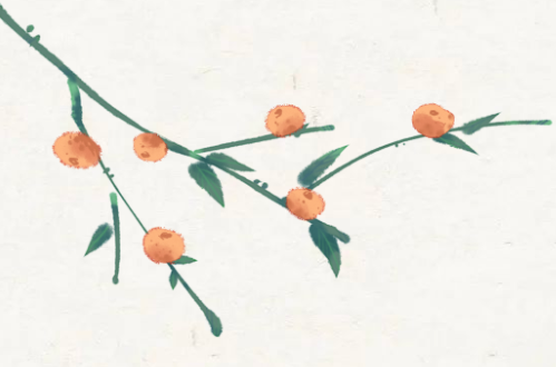 缓步人生路...
